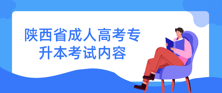 陕西省成人高考专升本考试内容