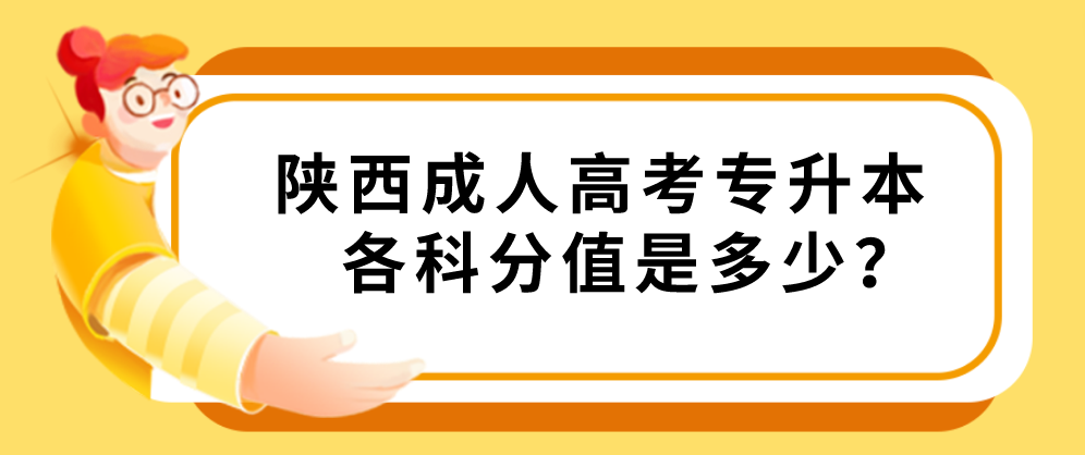 陕西成人高考专升本各科分值是多少？