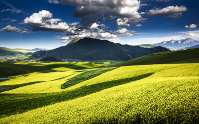 西南医科大学成人高考最低录取分数线?(图1) 西南医科大学成人高考最低录取分数线