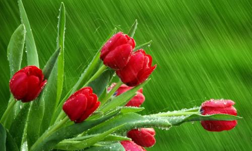 西安大学成人高考大专专业(图1) 西安大学成人高考大专专业