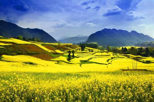 商洛师范学院成人高考高起本学费(图1) 商洛师范学院成人高考高起本学费