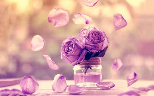 西南医科大学成人高考大专学费一年多少钱?(图1) 西南医科大学成人高考大专学费一年多少钱