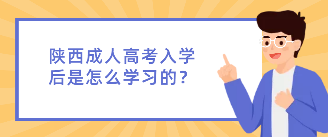 陕西成人高考入学后是怎么学习的？